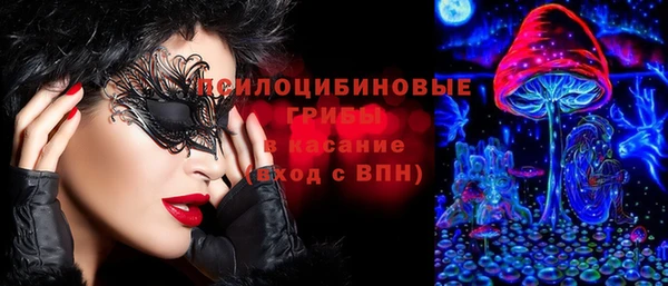 меф VHQ Дмитриев