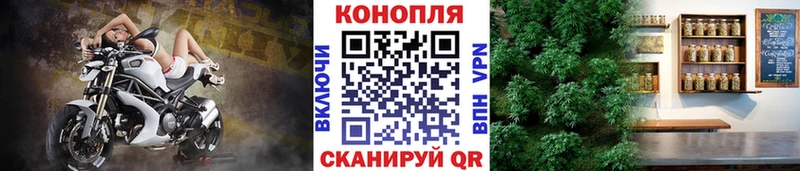купить закладку  Петровск  Шишки марихуана марихуана 